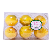 Freska Organic mango 1 Pack (6 Ea), 프레스카 유기농 망고 1 팩(6입), Freska Organic mango 1 Pack (6 Ea), mango