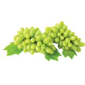 Seedless Green Grape 1bag (1.5lbs), 씨없는 청포도 1송이 (1.5lbs)